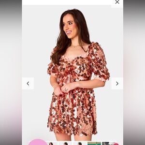 Buddy Love Colby Puff Sleeve Mini Dress- Rose Gold M